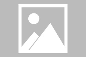 黄金甲体育官网-【比甲】圣吉罗斯vs标准列日比赛结果：圣吉罗斯(3-0)标准列日比分战报(2025年08月17日)